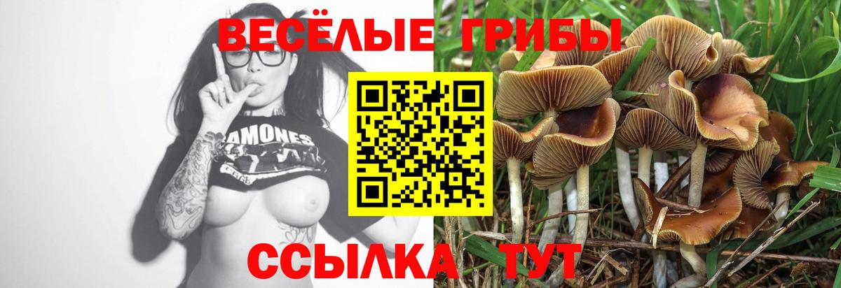 Псилоцибиновые грибы MAGIC MUSHROOMS  Вход с VPN  Калининград 
