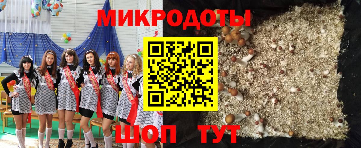 Псилоцибиновые грибы прущие грибы Калининград